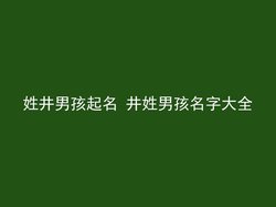 姓井男孩起名 井姓男孩名字大全