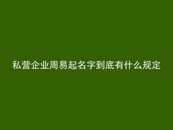 私营企业周易起名字到底有什么规定