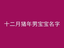 十二月猪年男宝宝名字