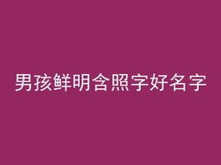 男孩鲜明含照字好名字