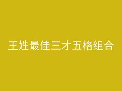 王姓最佳三才五格组合