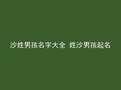 沙姓男孩名字大全 姓沙男孩起名