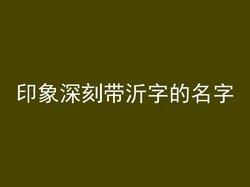 印象深刻带沂字的名字