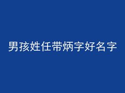 男孩姓任带炳字好名字