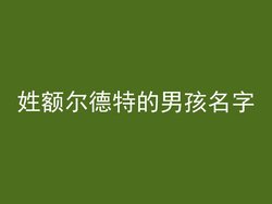 姓额尔德特的男孩名字