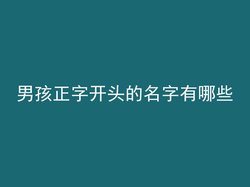 男孩正字开头的名字有哪些