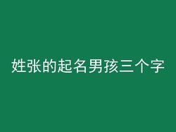 姓张的起名男孩三个字