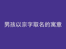 男孩以宗字取名的寓意