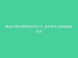 带金又带水的男孩名字大气,金字旁水字旁的组合名字