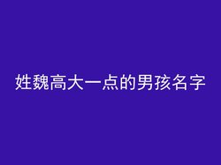 姓魏高大一点的男孩名字