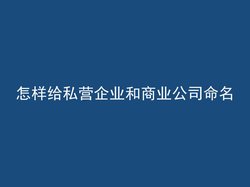 怎样给私营企业和商业公司命名