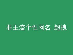 非主流个性网名 超拽