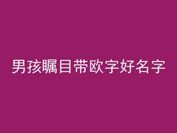 男孩瞩目带欧字好名字