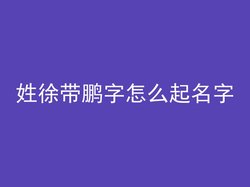 姓徐带鹏字怎么起名字