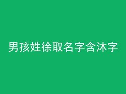 男孩姓徐取名字含沐字