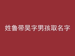 姓鲁带昊字男孩取名字