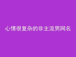 心情很复杂的非主流男网名