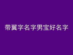 带翼字名字男宝好名字