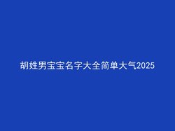 胡姓男宝宝名字大全简单大气2025