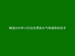 精选2025年12月出生男孩大气有涵养的名字