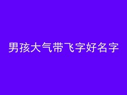 男孩大气带飞字好名字