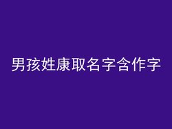 男孩姓康取名字含作字