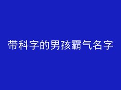 带科字的男孩霸气名字